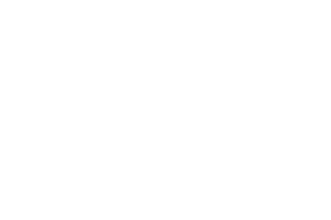 Bisnow